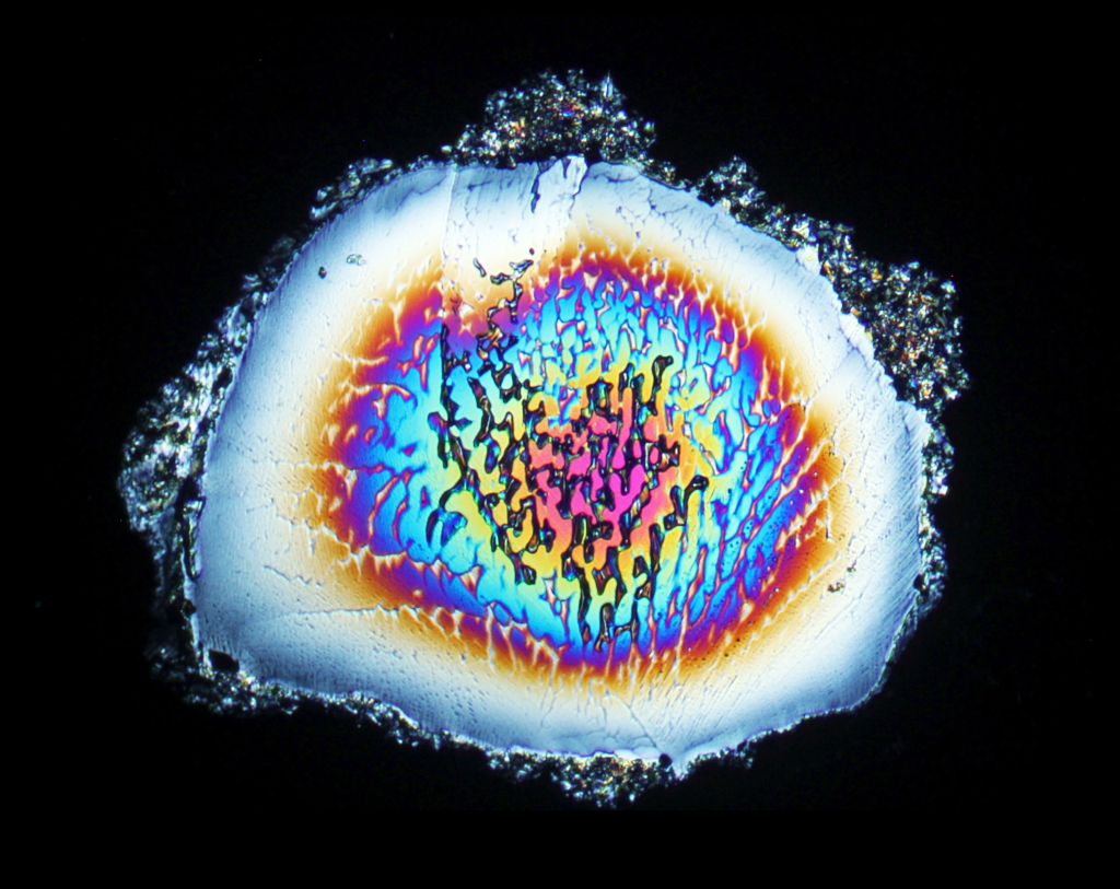 Urea crystals viewed in polarized light