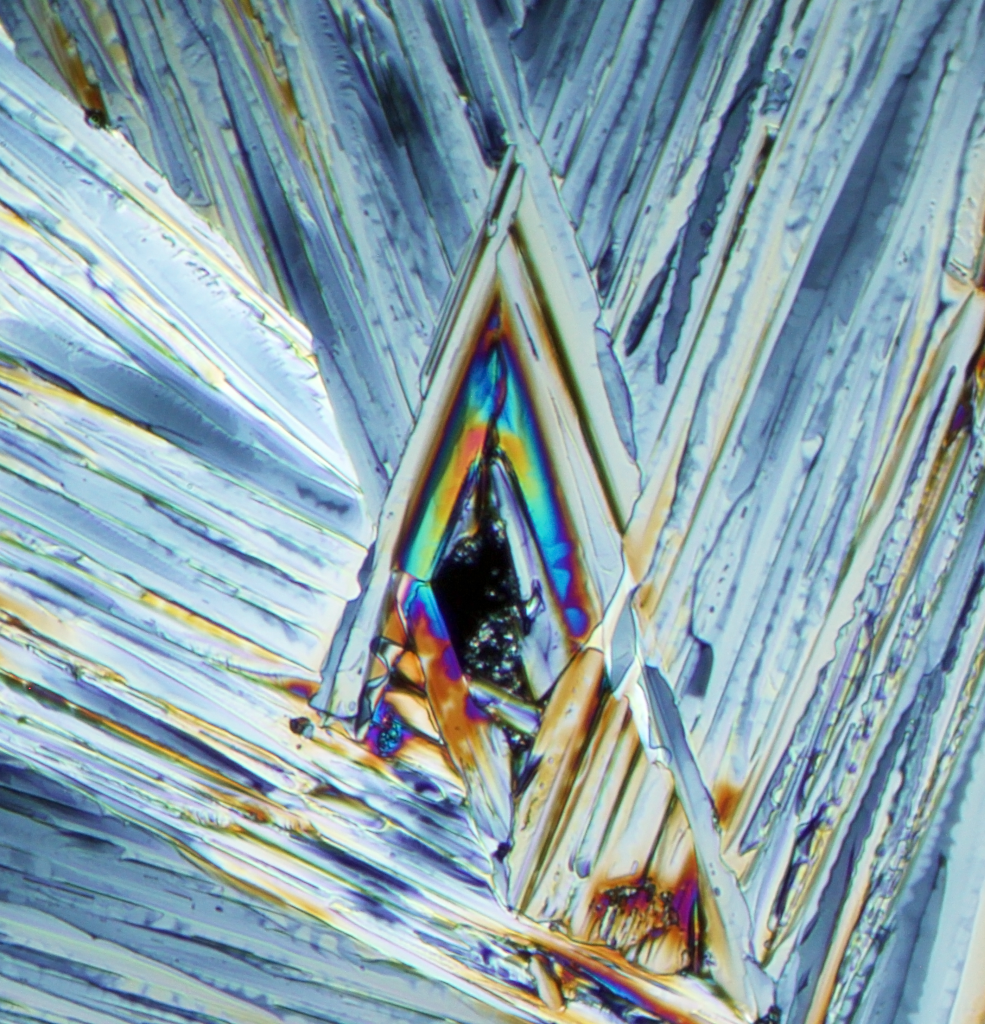 Urea crystals viewed in polarized light